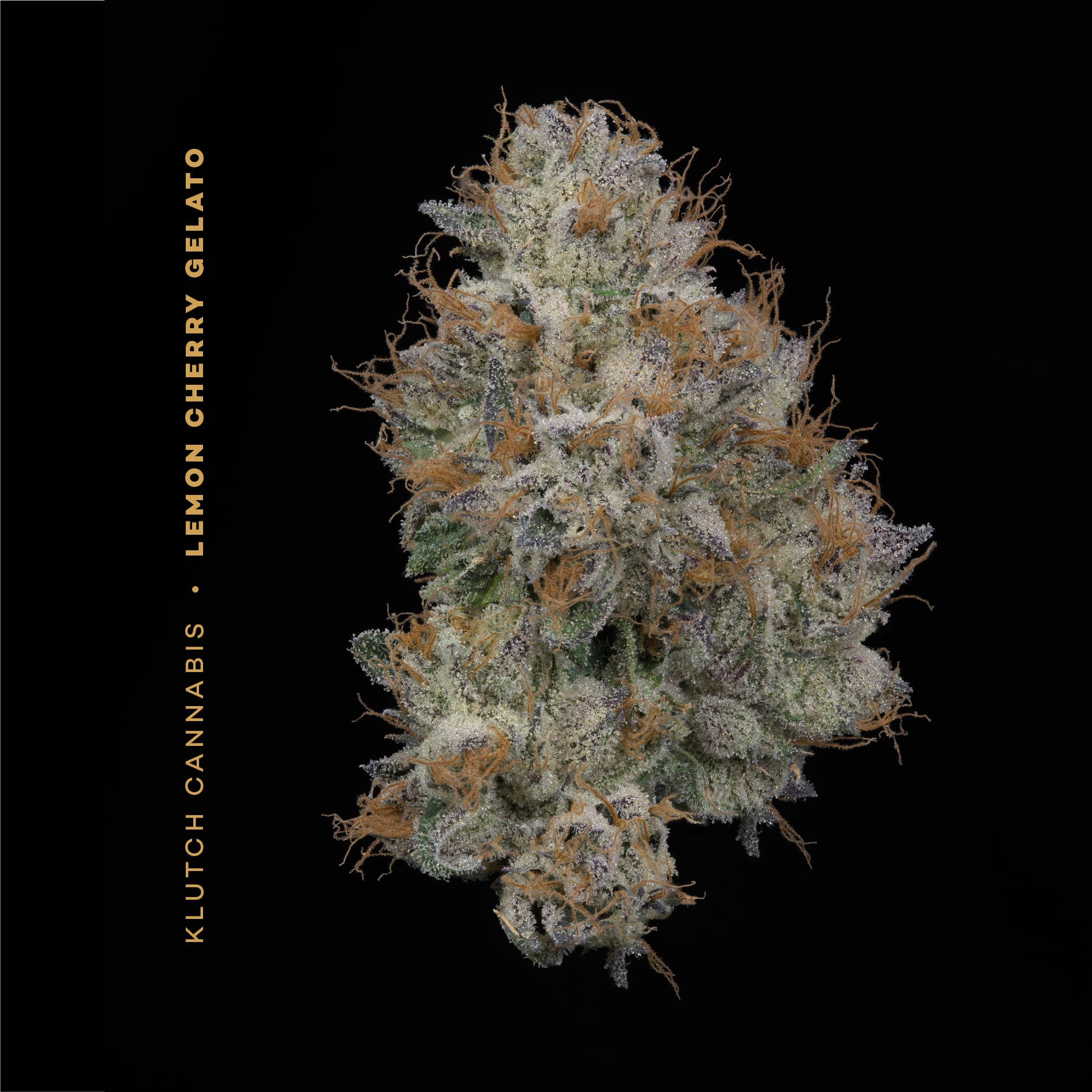 Lemon Cherry Gelato