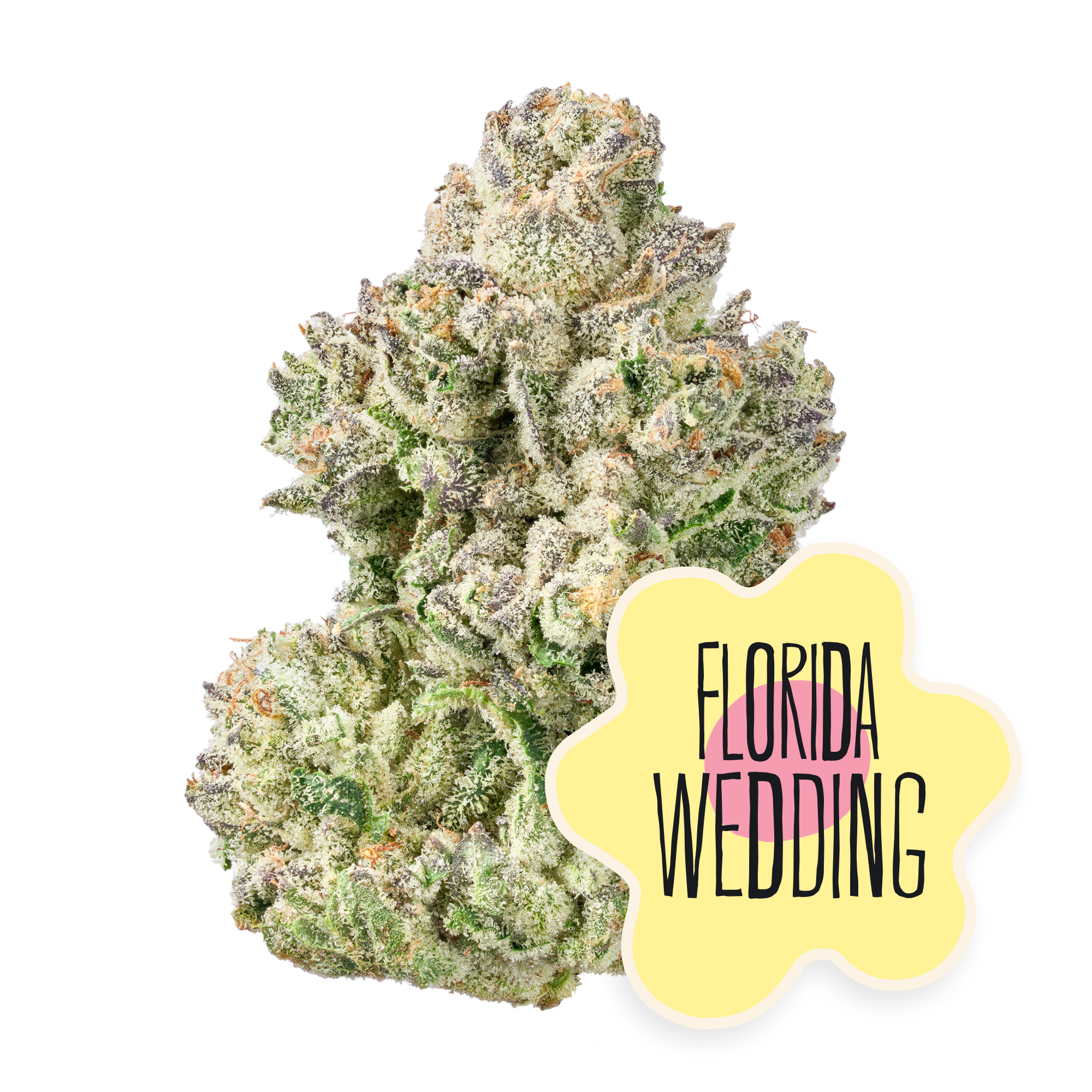 Florida Wedding