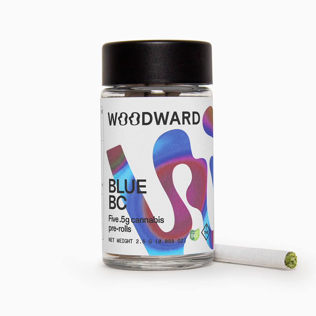 Blueberry Wheezebake