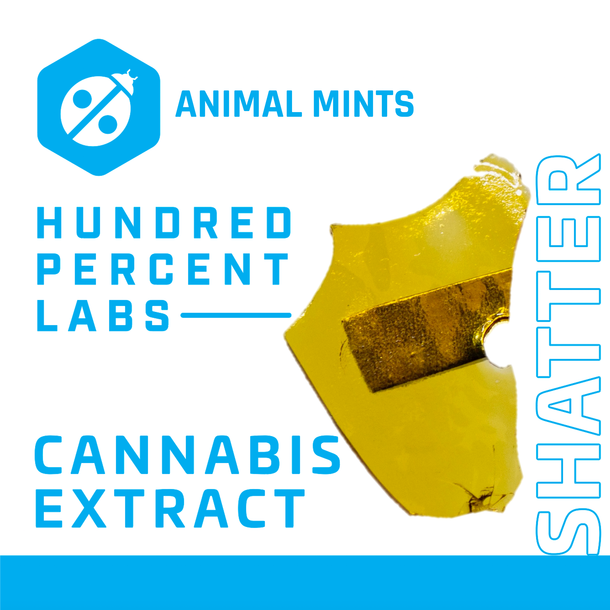 Animal Mints - 1g Shatter - Indica