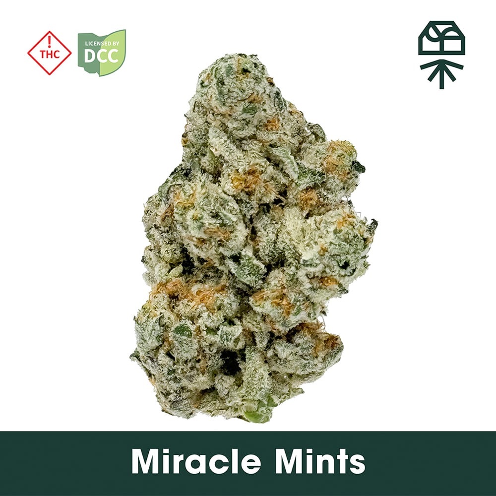 Miracle Mints - 14.15g Smalls - Indica