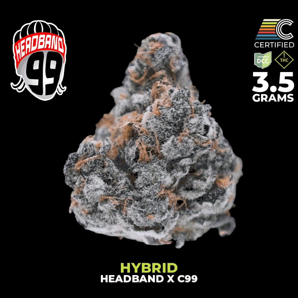 Headband 99