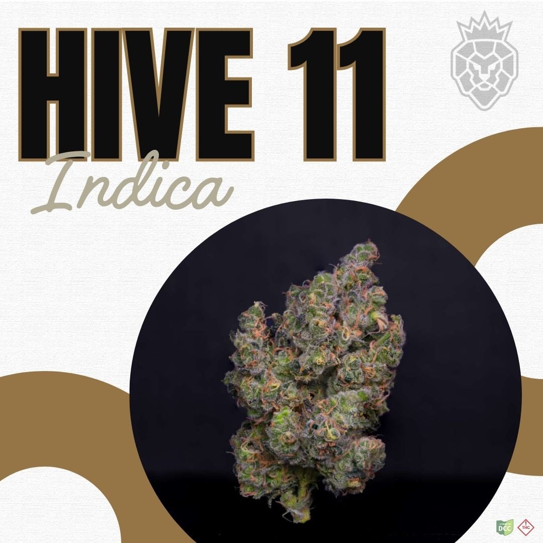 Hive 11