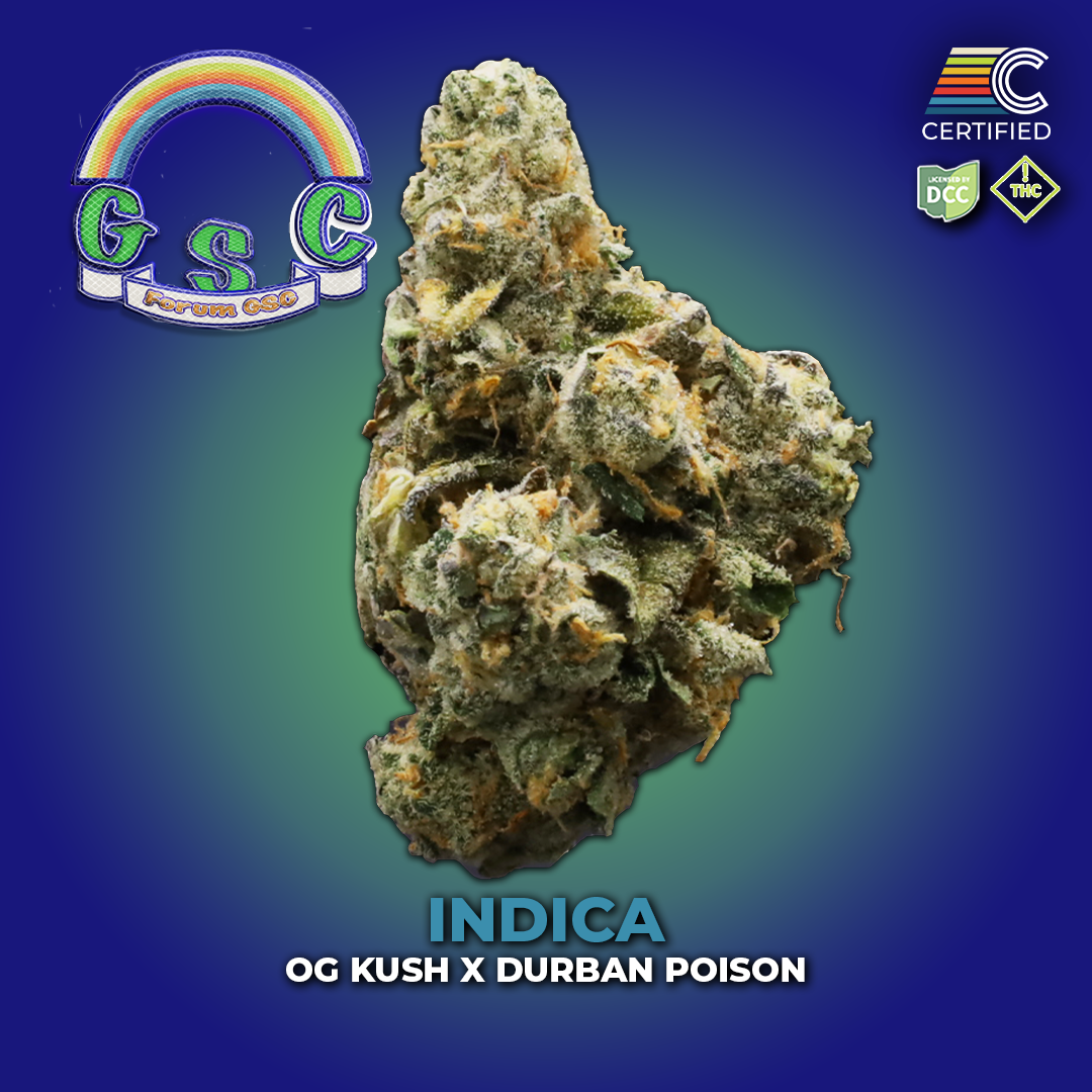 Forum Gsc