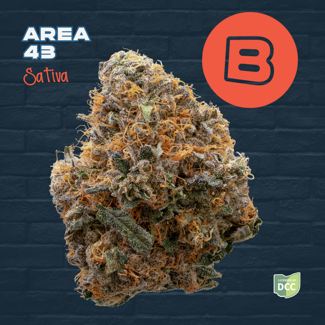 Area 43