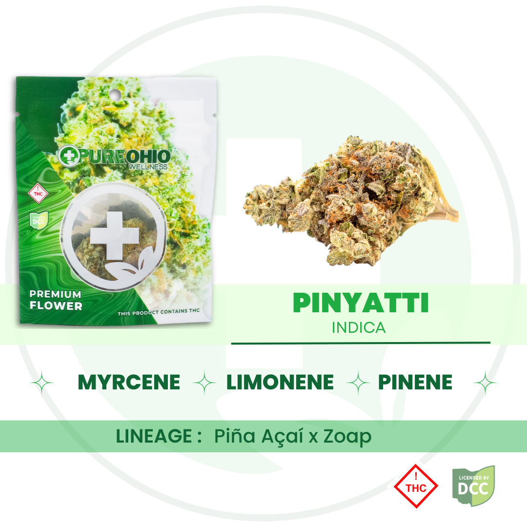 Pinyatti