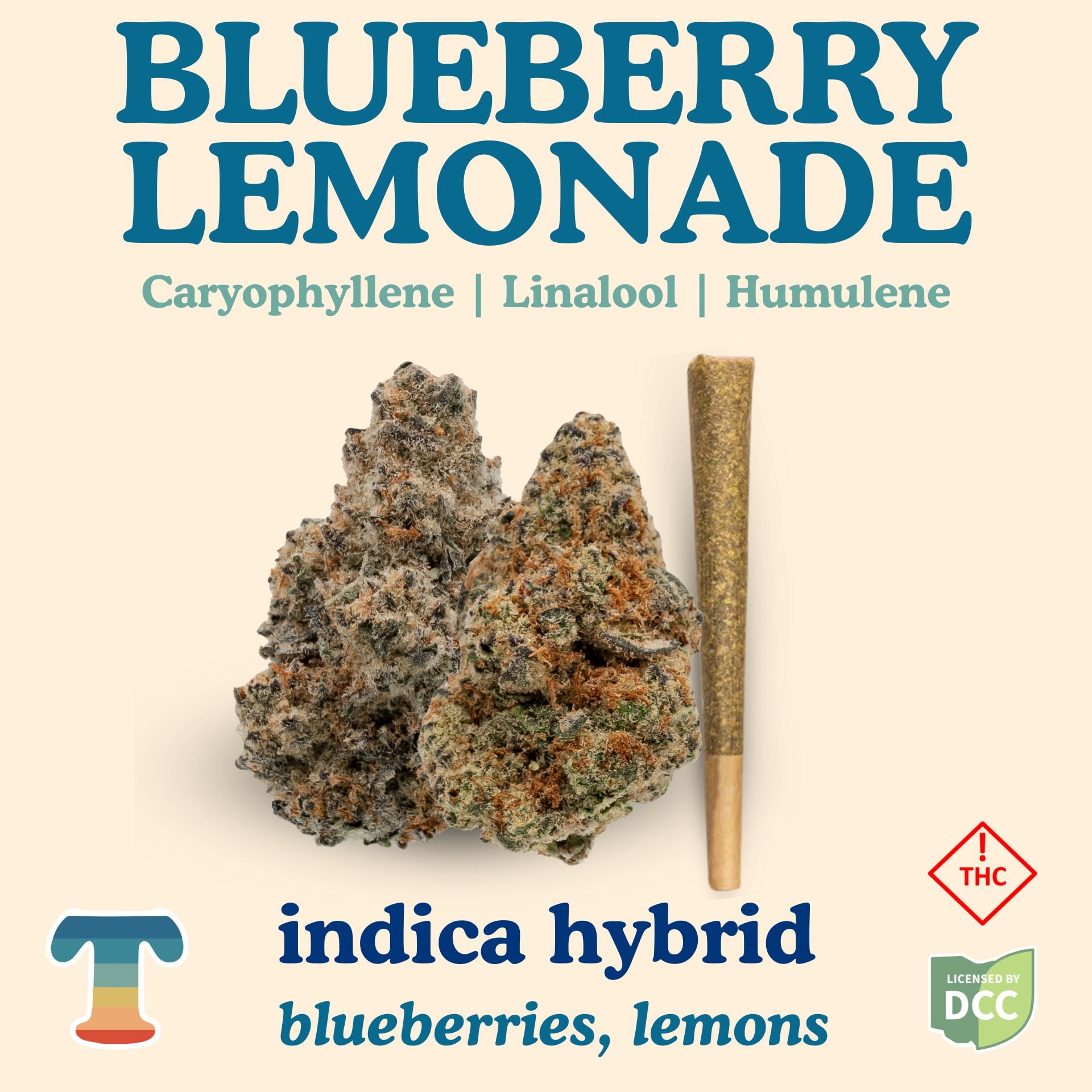 Blueberry Lemonade
