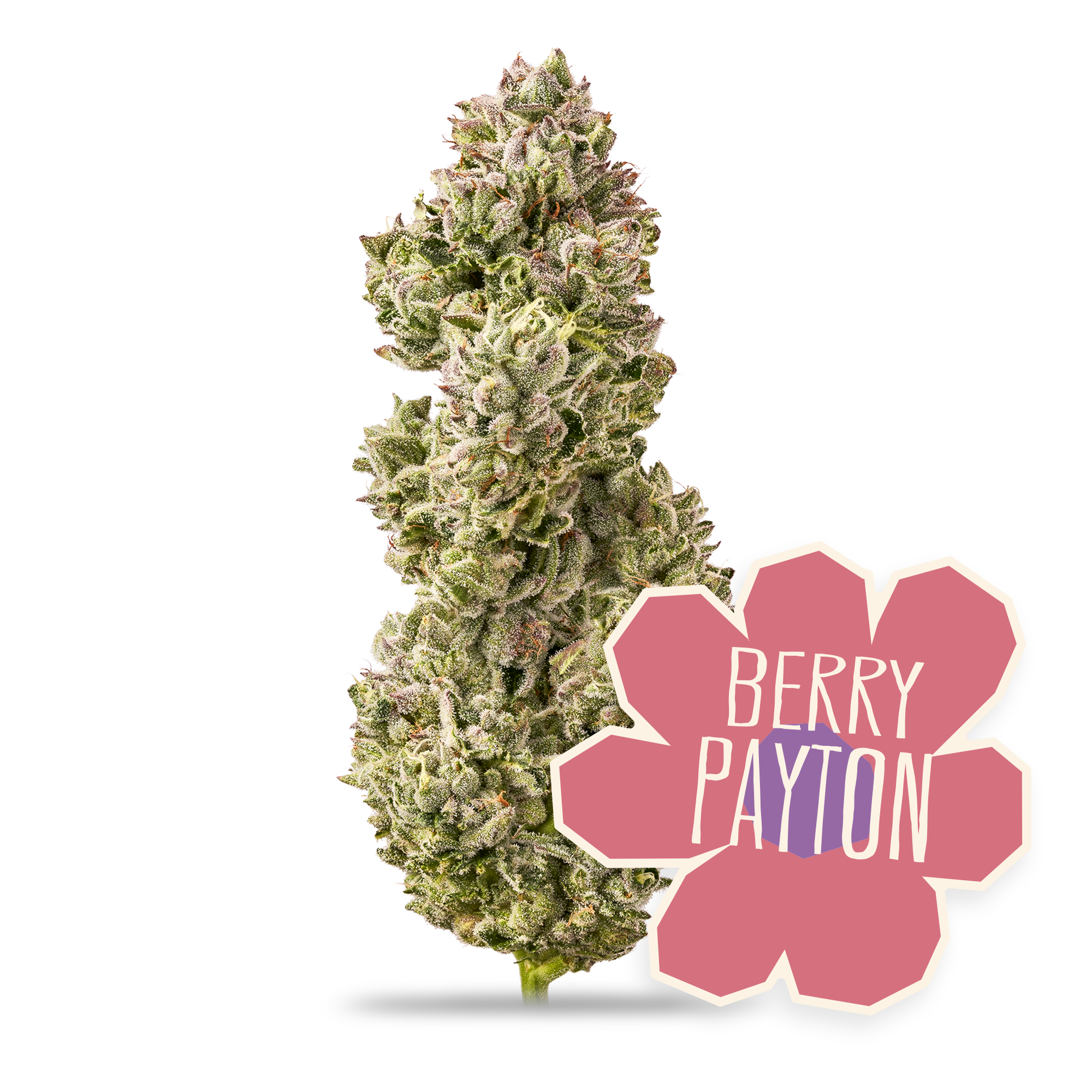 Berry Payton