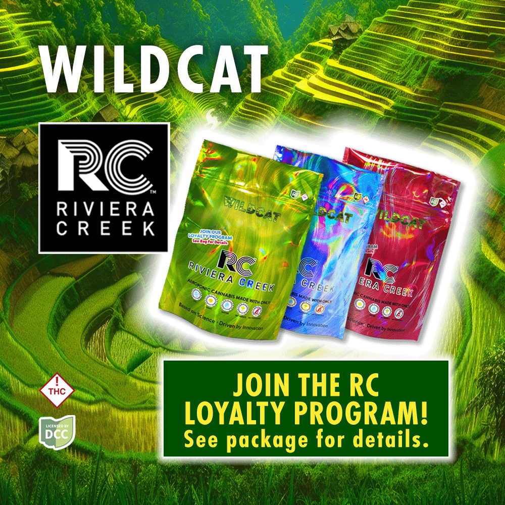 Wild Cat
