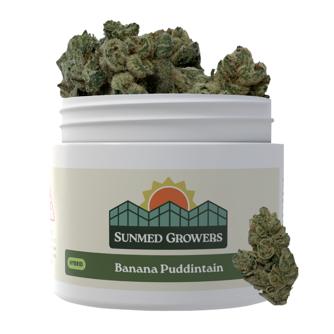 Banana Puddintain