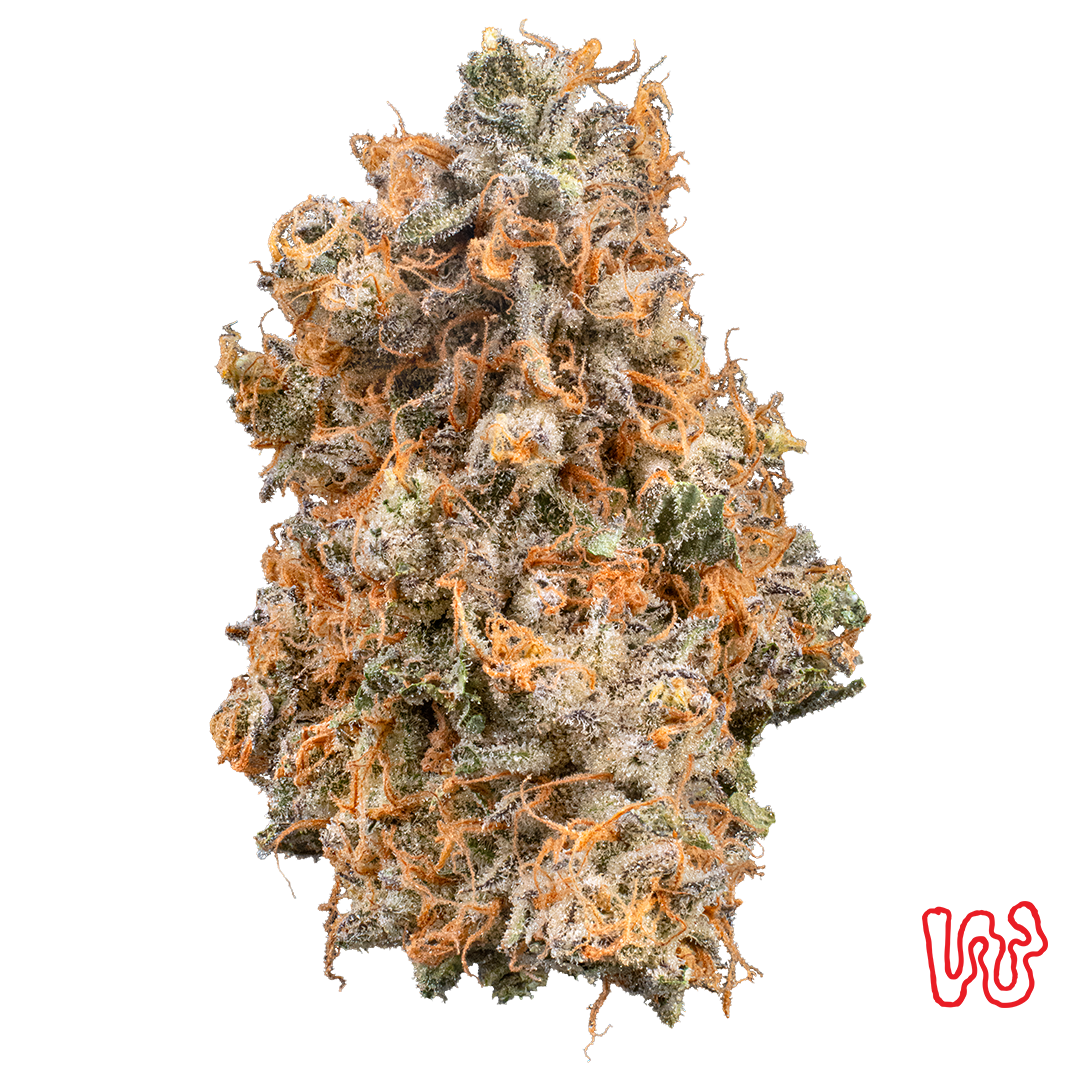 Grapehead
