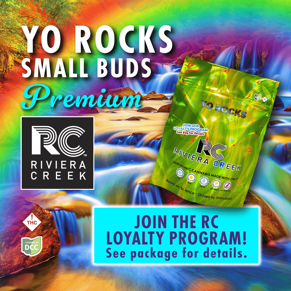 Yo Rocks