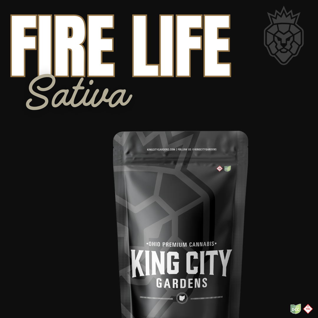 Fire Life