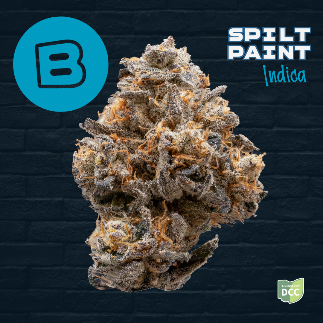 Spilt Paint - 2.83g Whole Buds - Indica