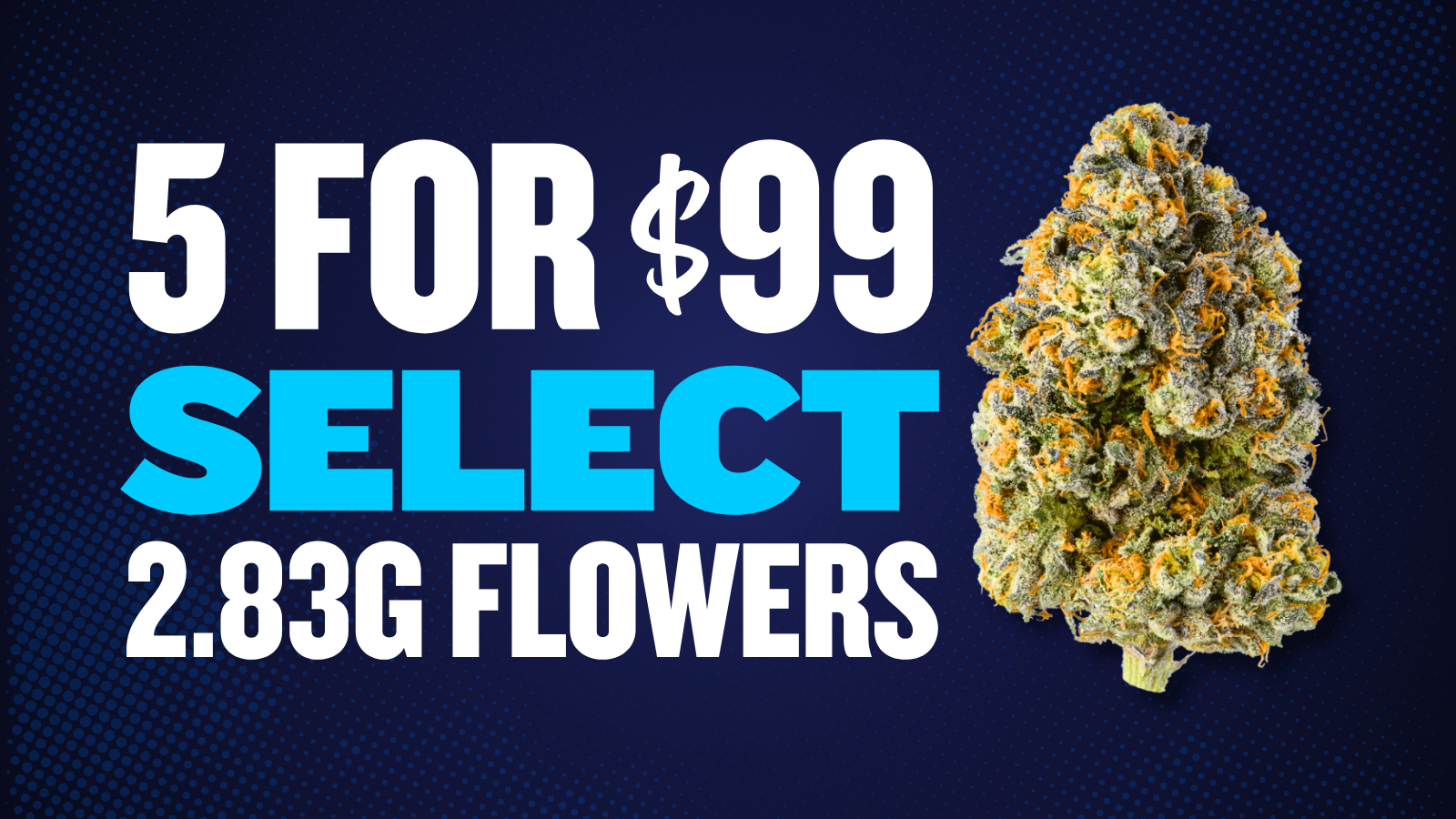 5 FOR $99 SELECT 2.83G