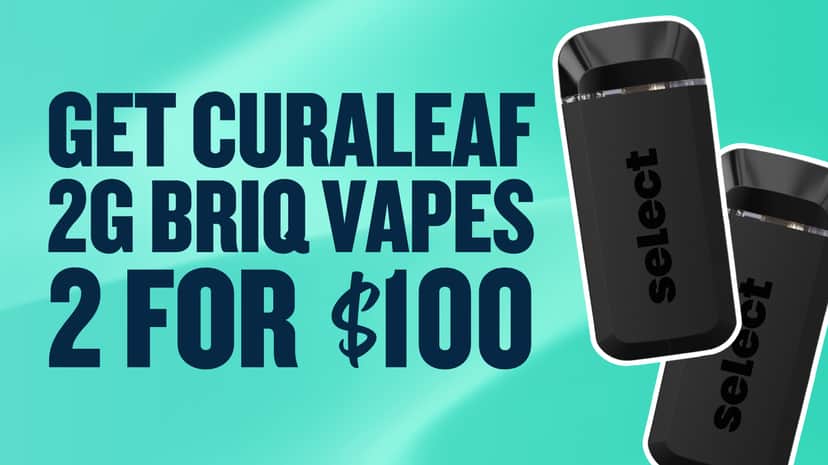 BUY 2 BRIQ 2G DISPOSABLES FOR $100