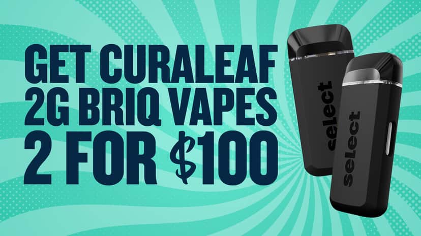 BUY 2 BRIQ 2G DISPOSABLES FOR $100