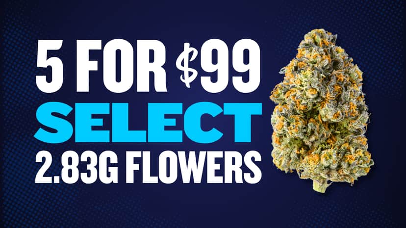 5 FOR $99 SELECT 2.83G