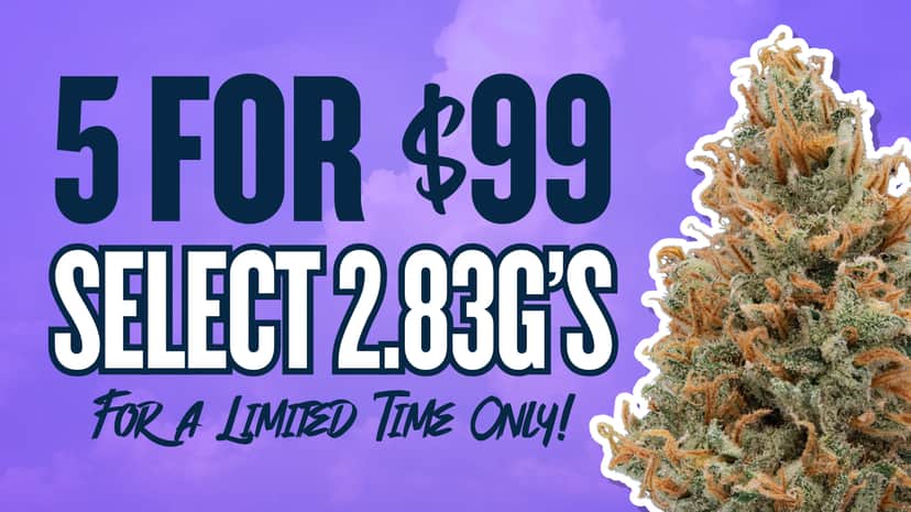 5 FOR $99 SELECT 2.83G