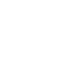 Apple Icon